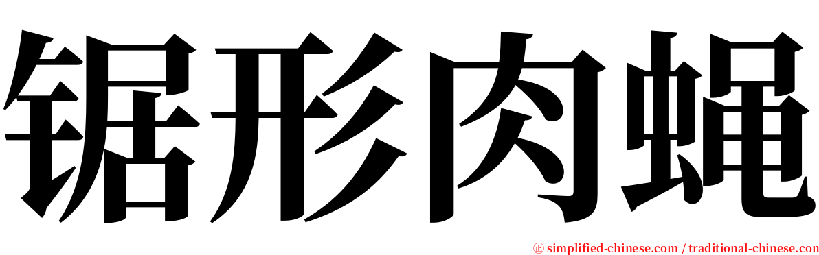 锯形肉蝇 serif font