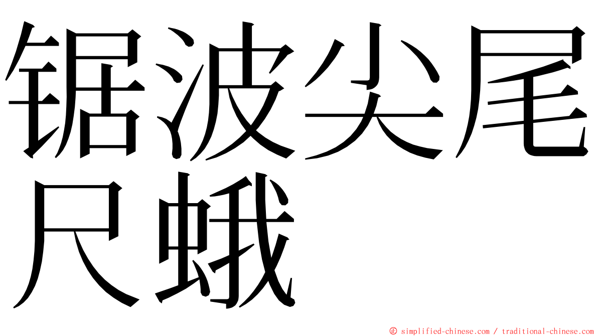 锯波尖尾尺蛾 ming font