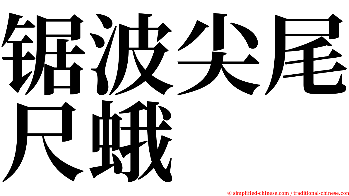 锯波尖尾尺蛾 serif font