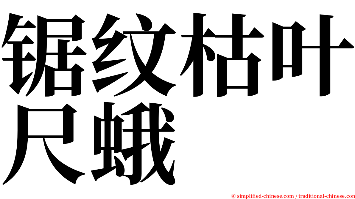 锯纹枯叶尺蛾 serif font