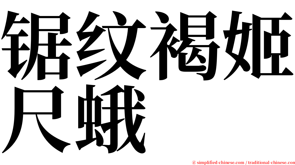 锯纹褐姬尺蛾 serif font