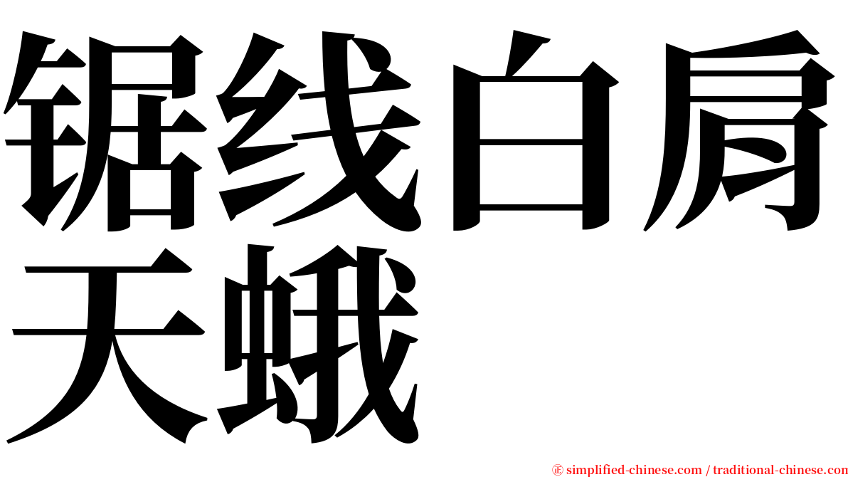 锯线白肩天蛾 serif font