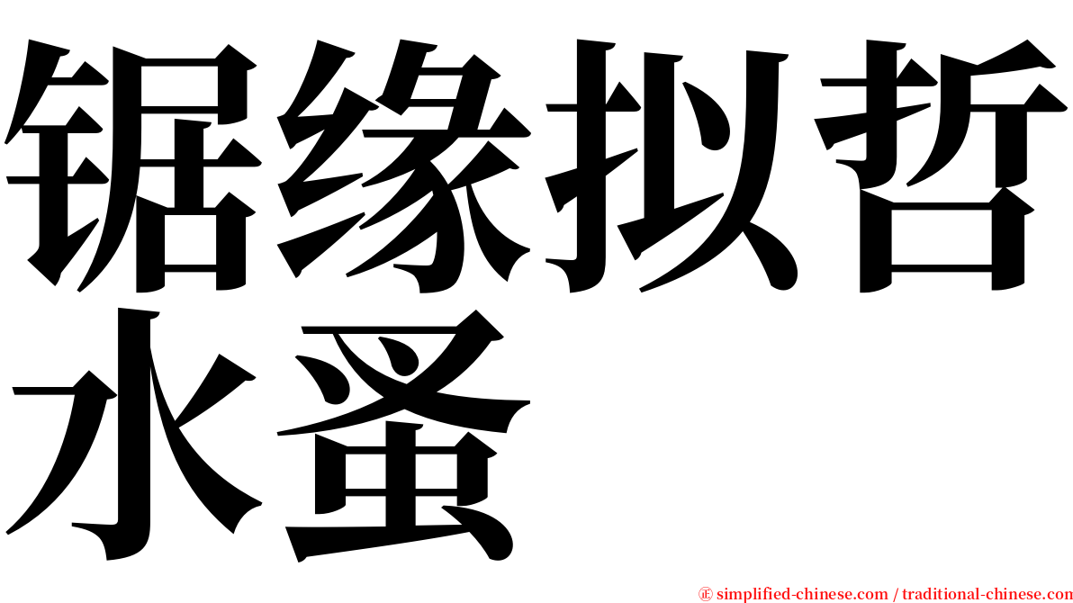 锯缘拟哲水蚤 serif font