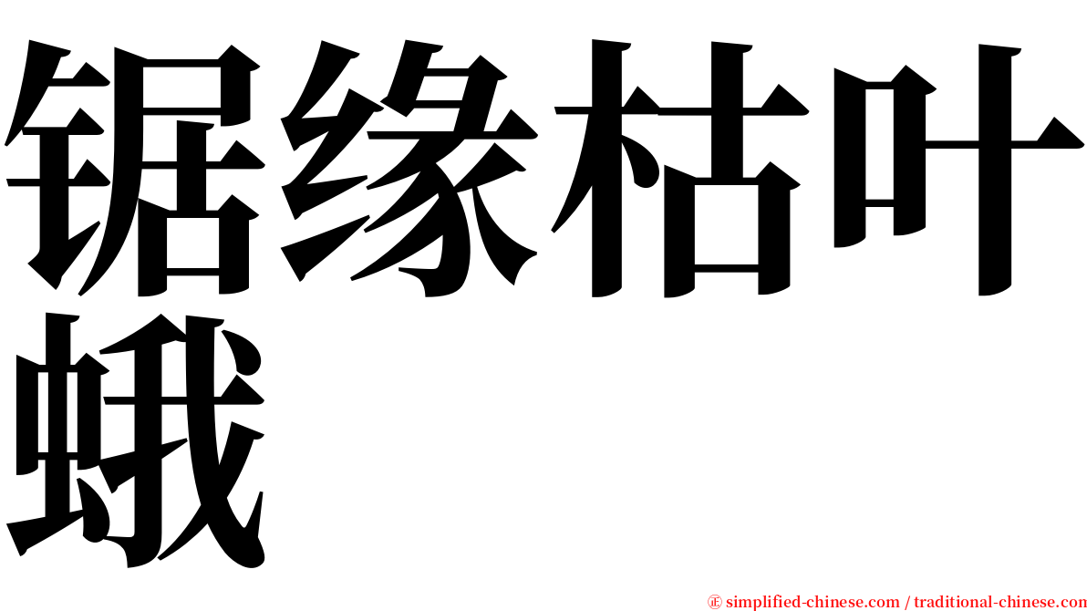 锯缘枯叶蛾 serif font