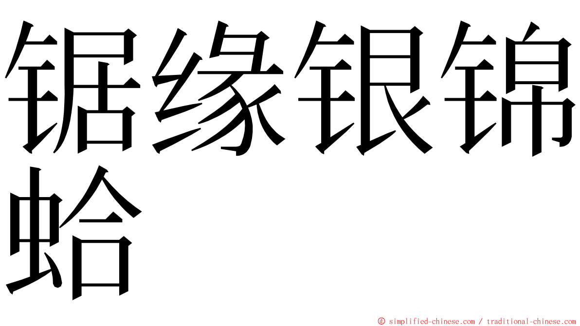 锯缘银锦蛤 ming font