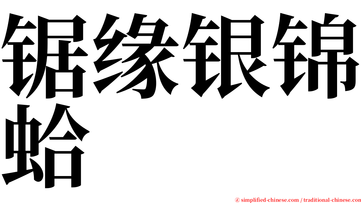 锯缘银锦蛤 serif font