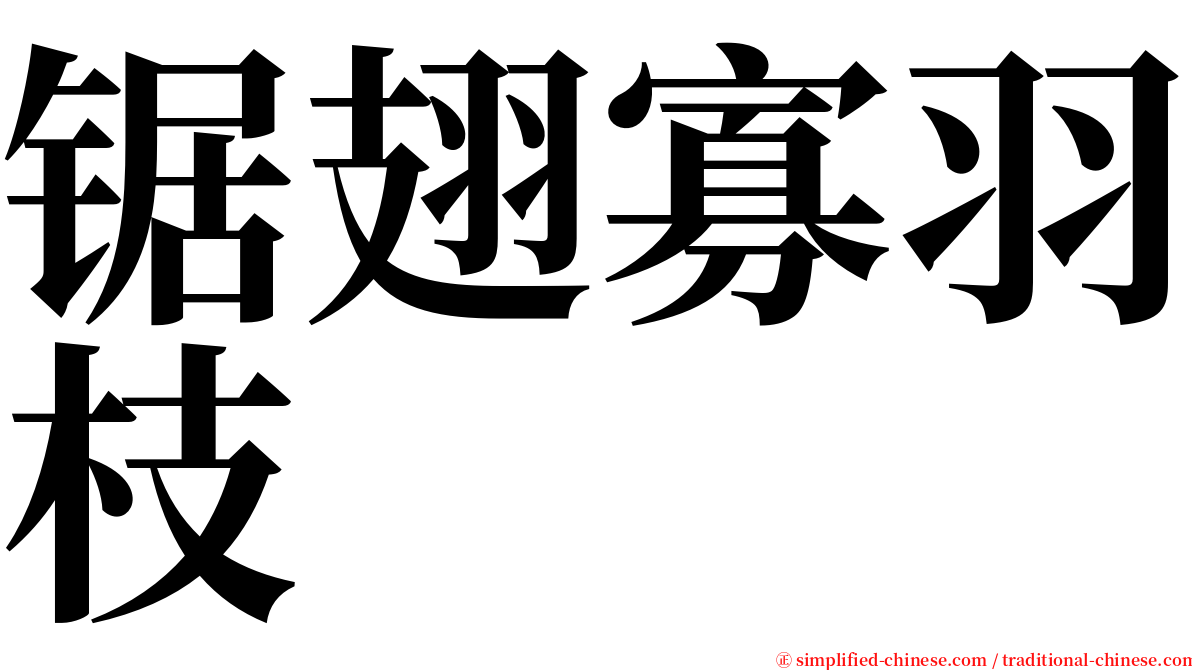 锯翅寡羽枝 serif font