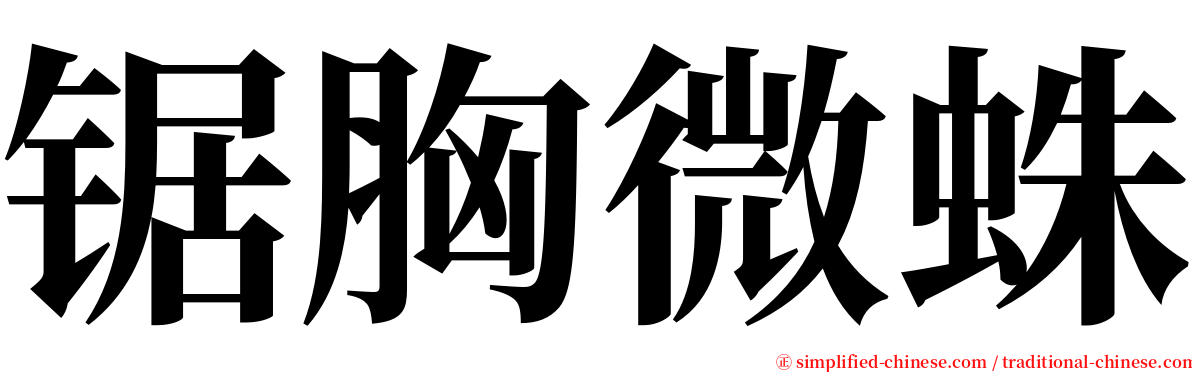 锯胸微蛛 serif font