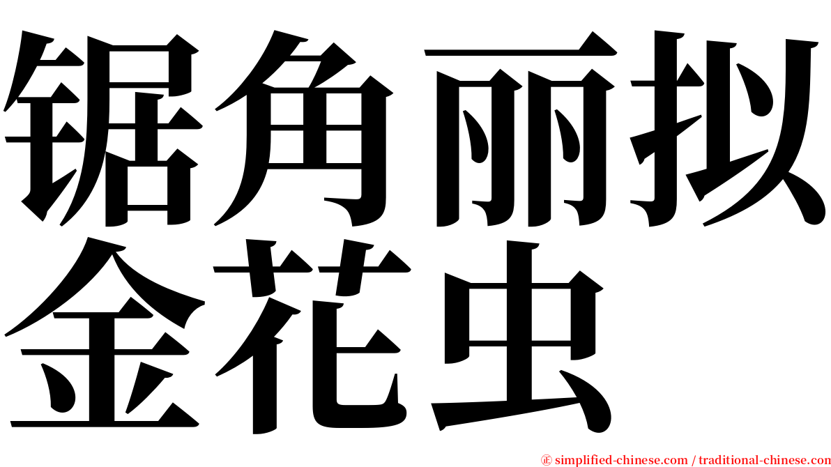 锯角丽拟金花虫 serif font