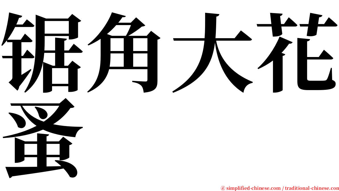 锯角大花蚤 serif font