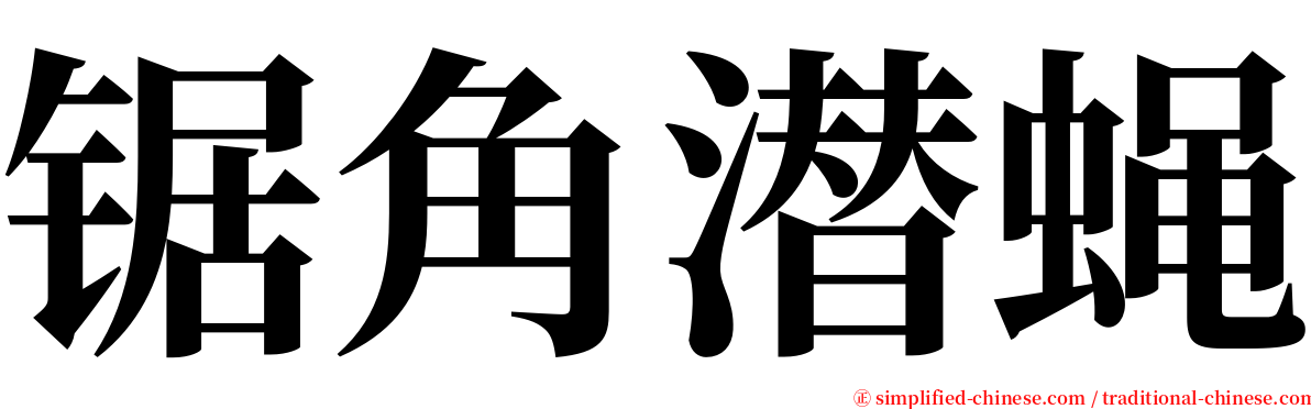 锯角潜蝇 serif font