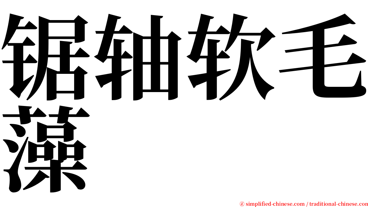 锯轴软毛藻 serif font