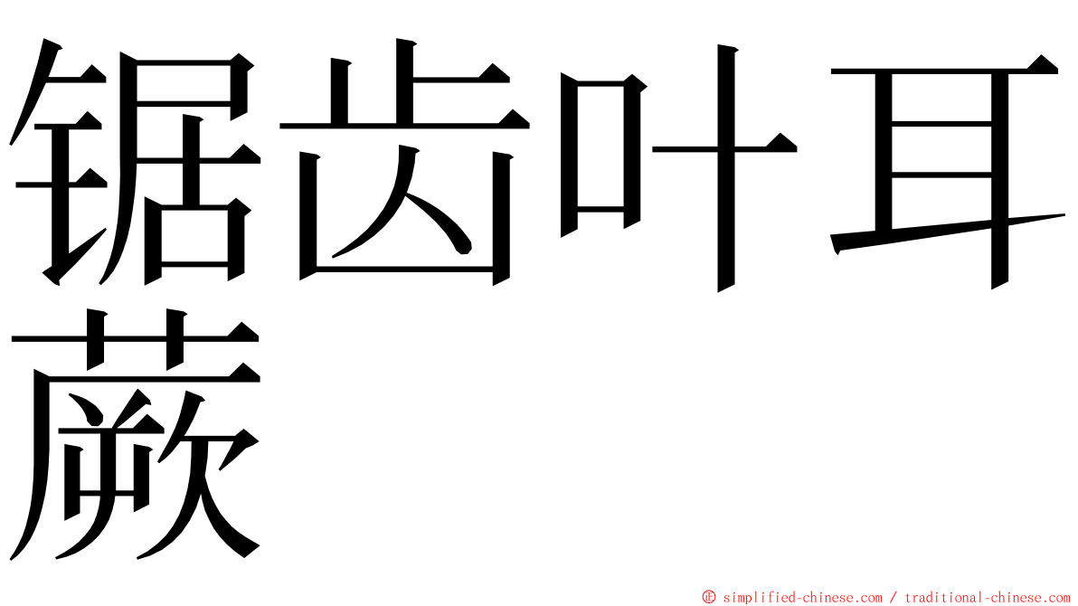 锯齿叶耳蕨 ming font