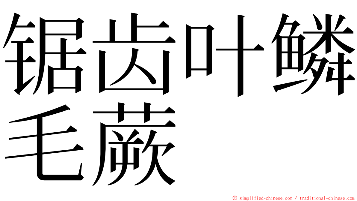 锯齿叶鳞毛蕨 ming font