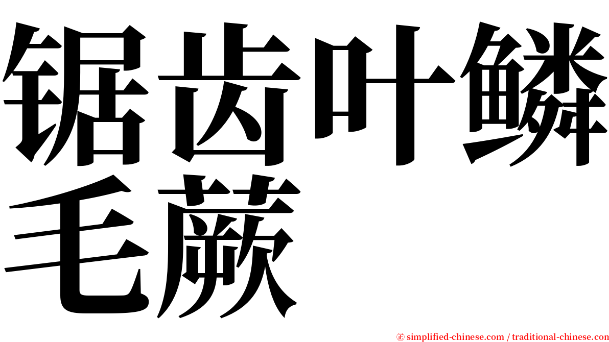 锯齿叶鳞毛蕨 serif font