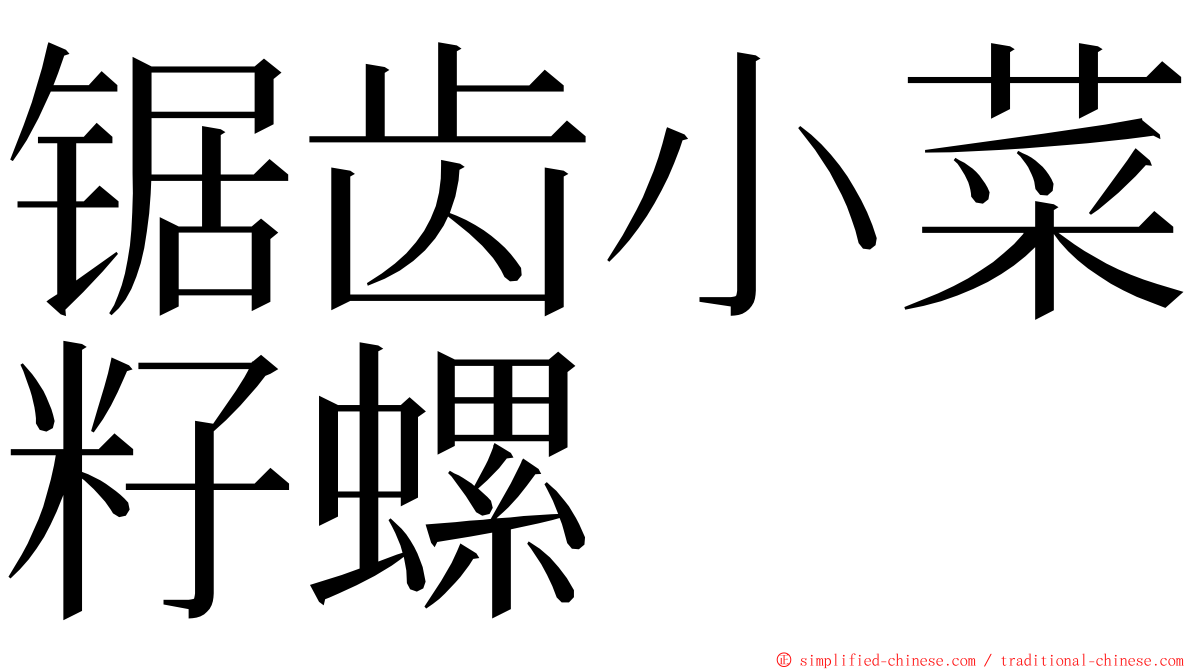 锯齿小菜籽螺 ming font