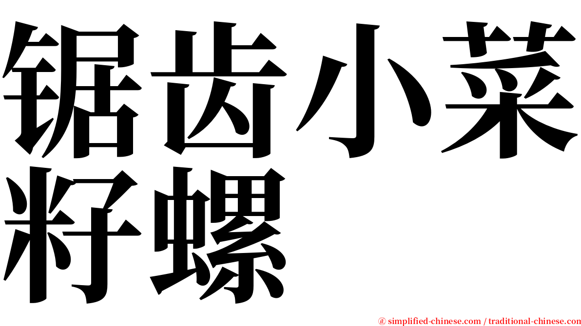 锯齿小菜籽螺 serif font