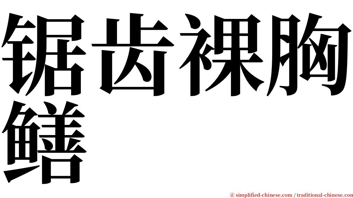 锯齿裸胸鳝 serif font