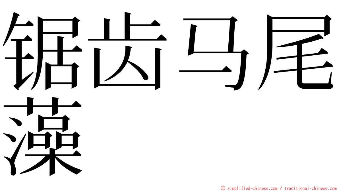 锯齿马尾藻 ming font