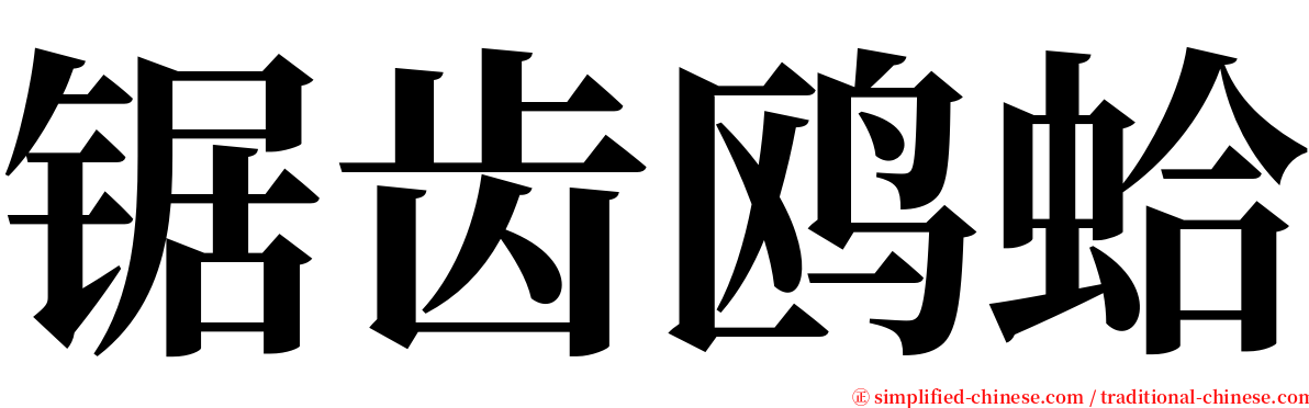 锯齿鸥蛤 serif font