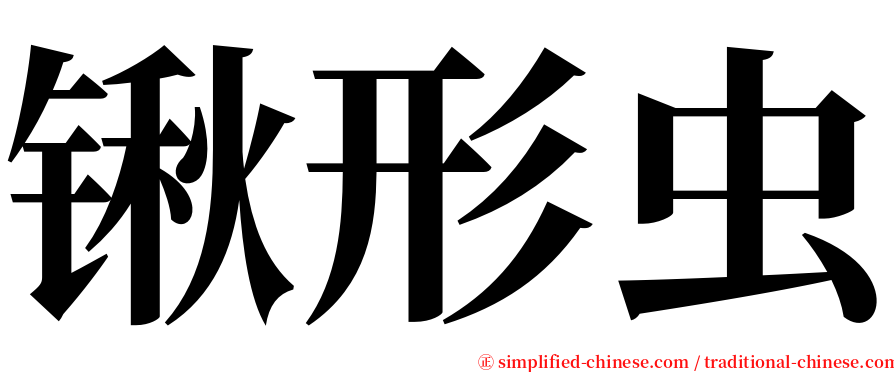 锹形虫 serif font