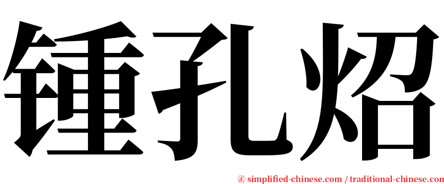 锺孔炤 serif font