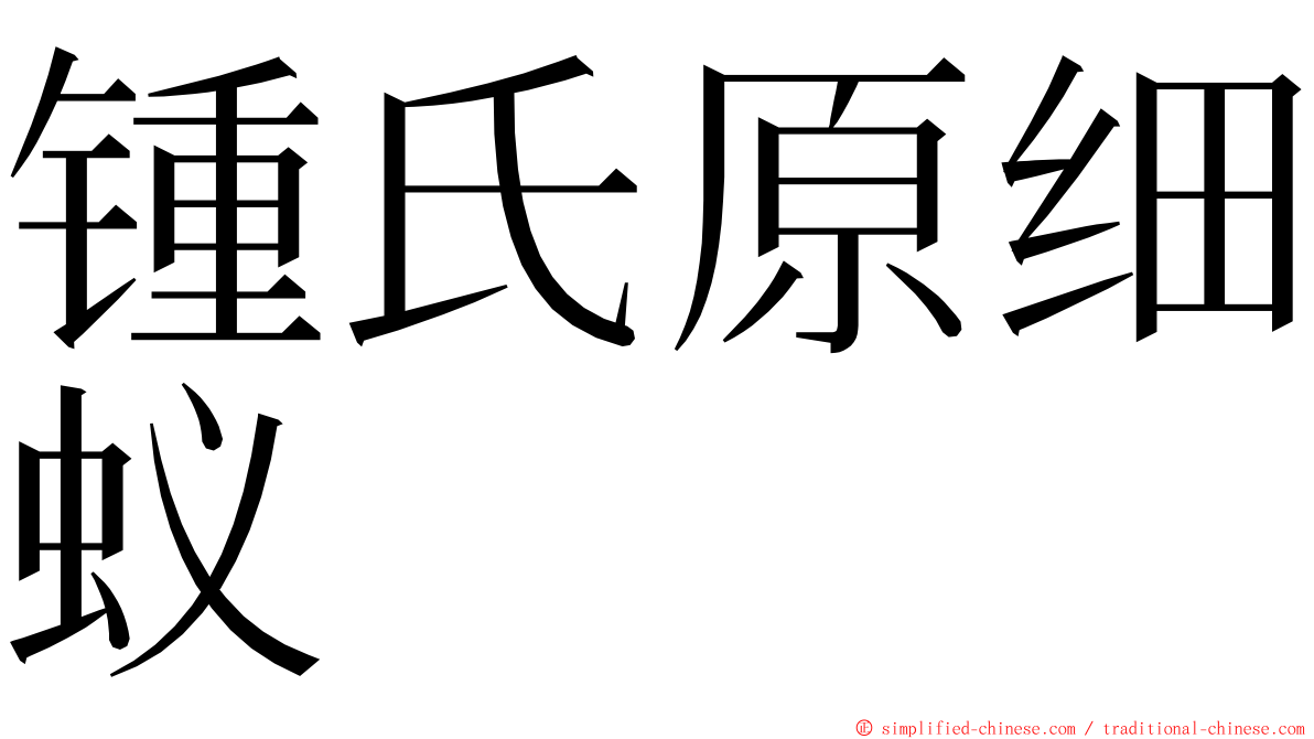 锺氏原细蚁 ming font