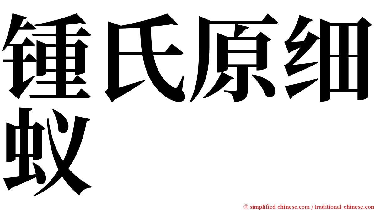 锺氏原细蚁 serif font