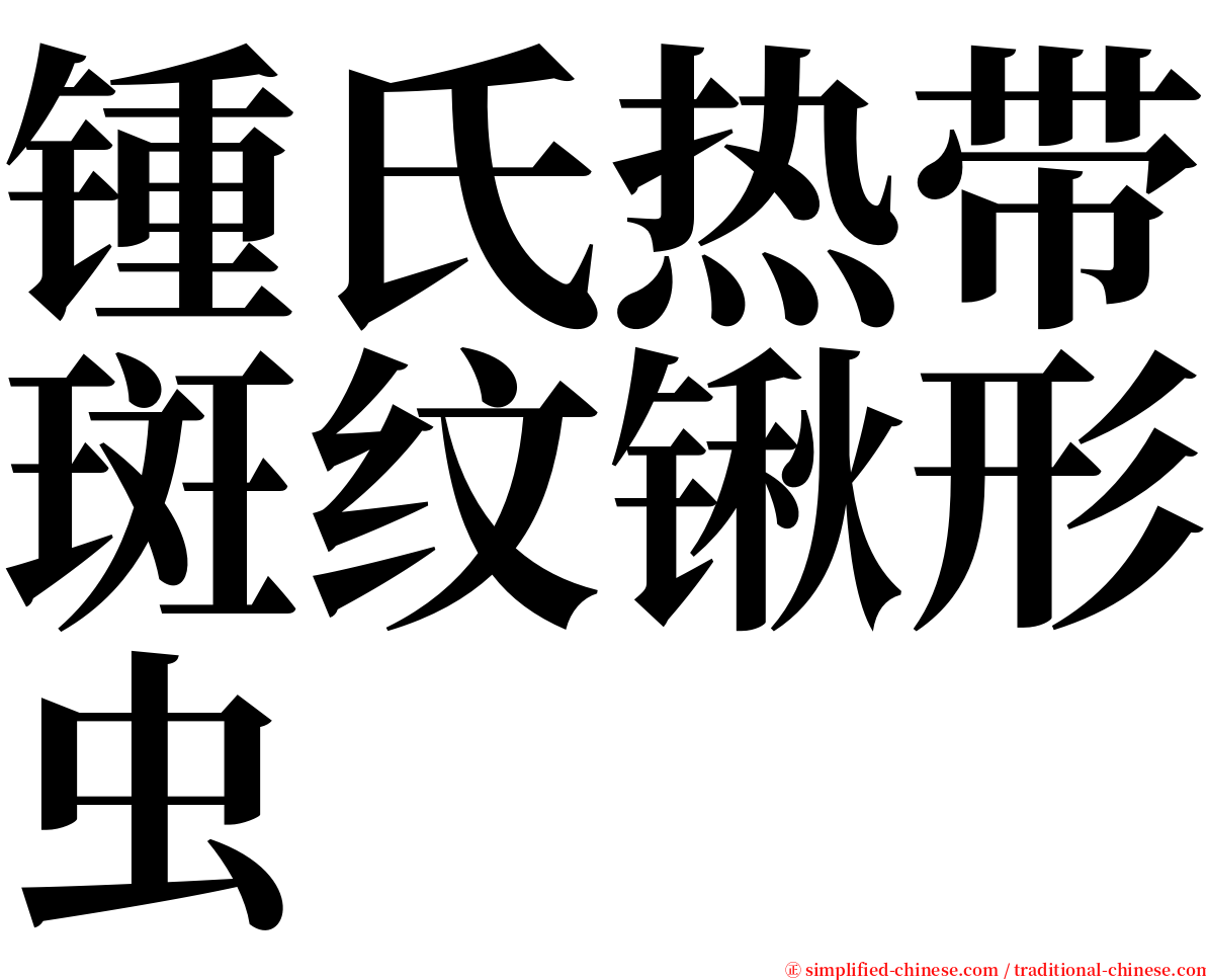 锺氏热带斑纹锹形虫 serif font