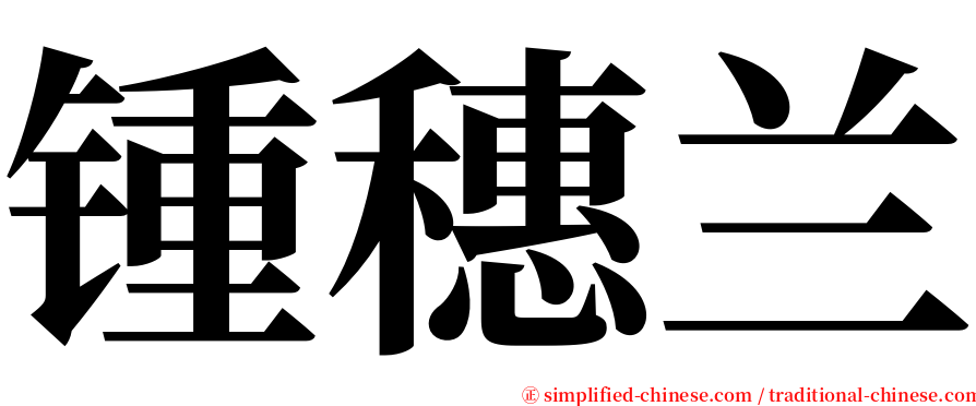 锺穗兰 serif font