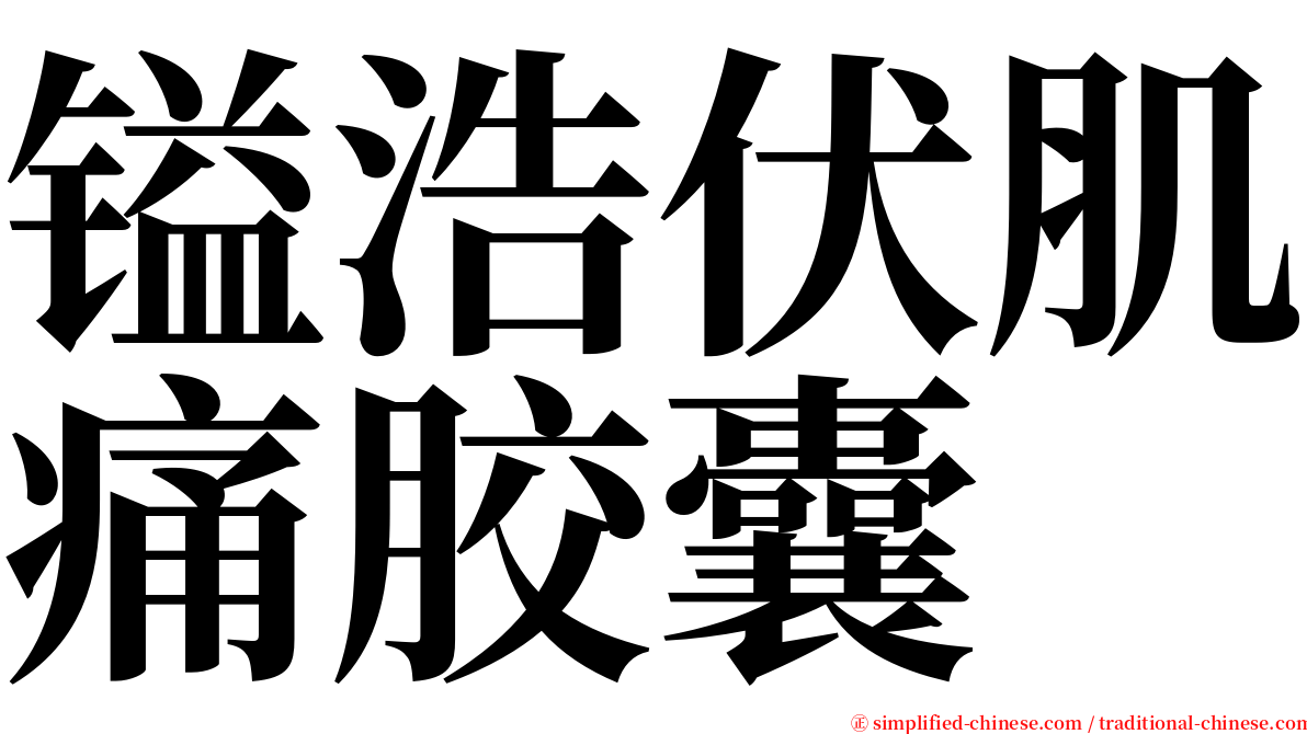 镒浩伏肌痛胶囊 serif font