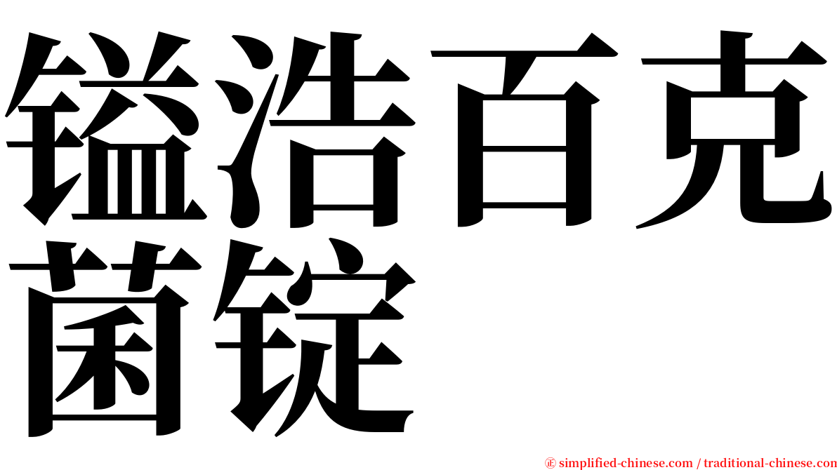 镒浩百克菌锭 serif font