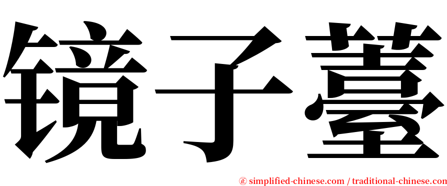 镜子薹 serif font