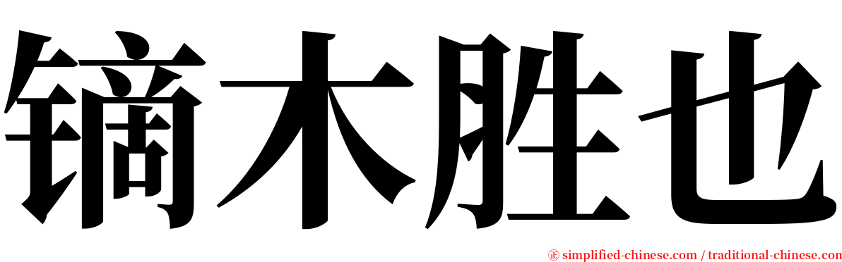 镝木胜也 serif font