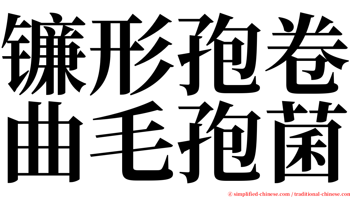 镰形孢卷曲毛孢菌 serif font