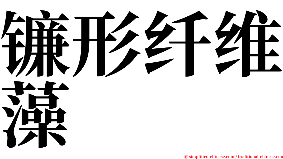 镰形纤维藻 serif font