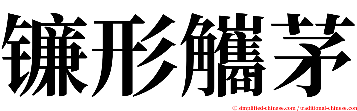 镰形觿茅 serif font