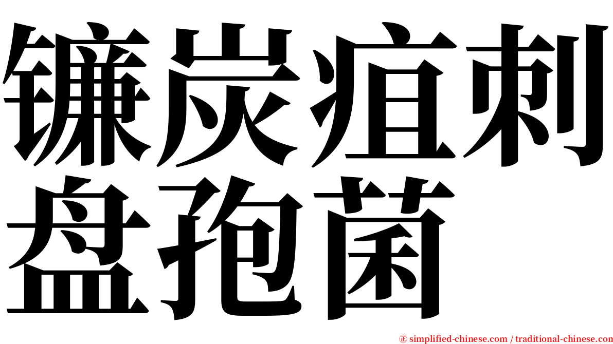 镰炭疽刺盘孢菌 serif font