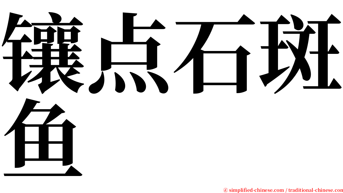 镶点石斑鱼 serif font