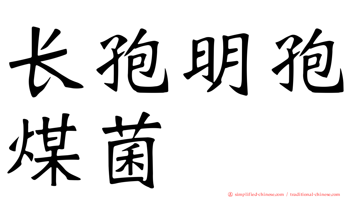 长孢明孢煤菌