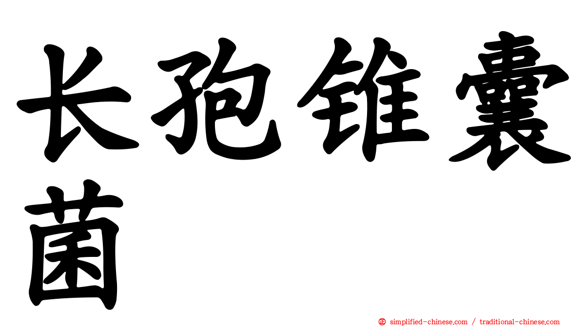 长孢锥囊菌