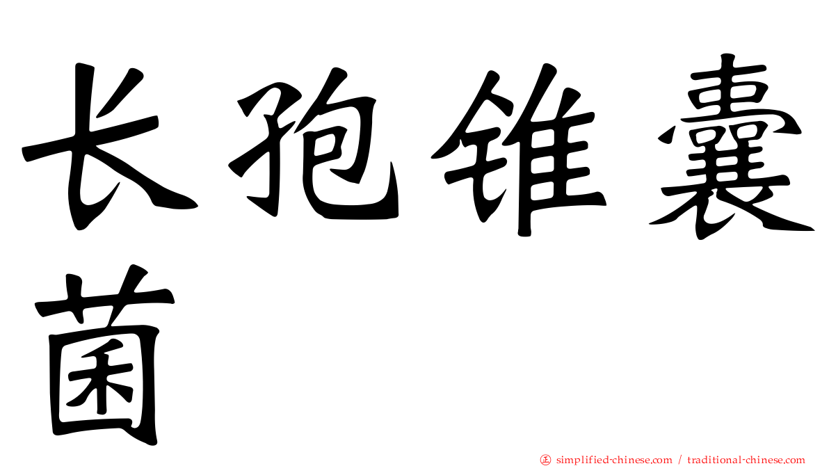 长孢锥囊菌
