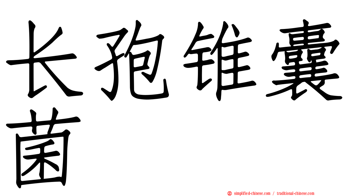 长孢锥囊菌