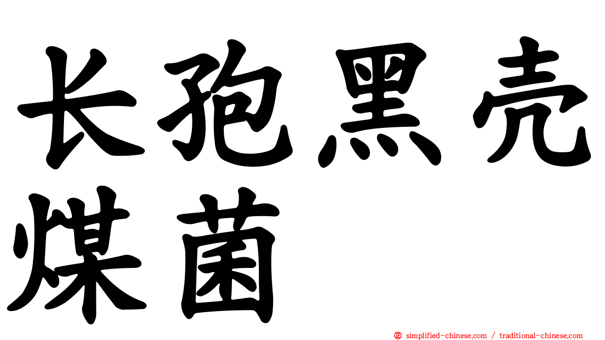 长孢黑壳煤菌