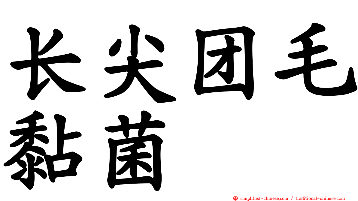 长尖团毛黏菌