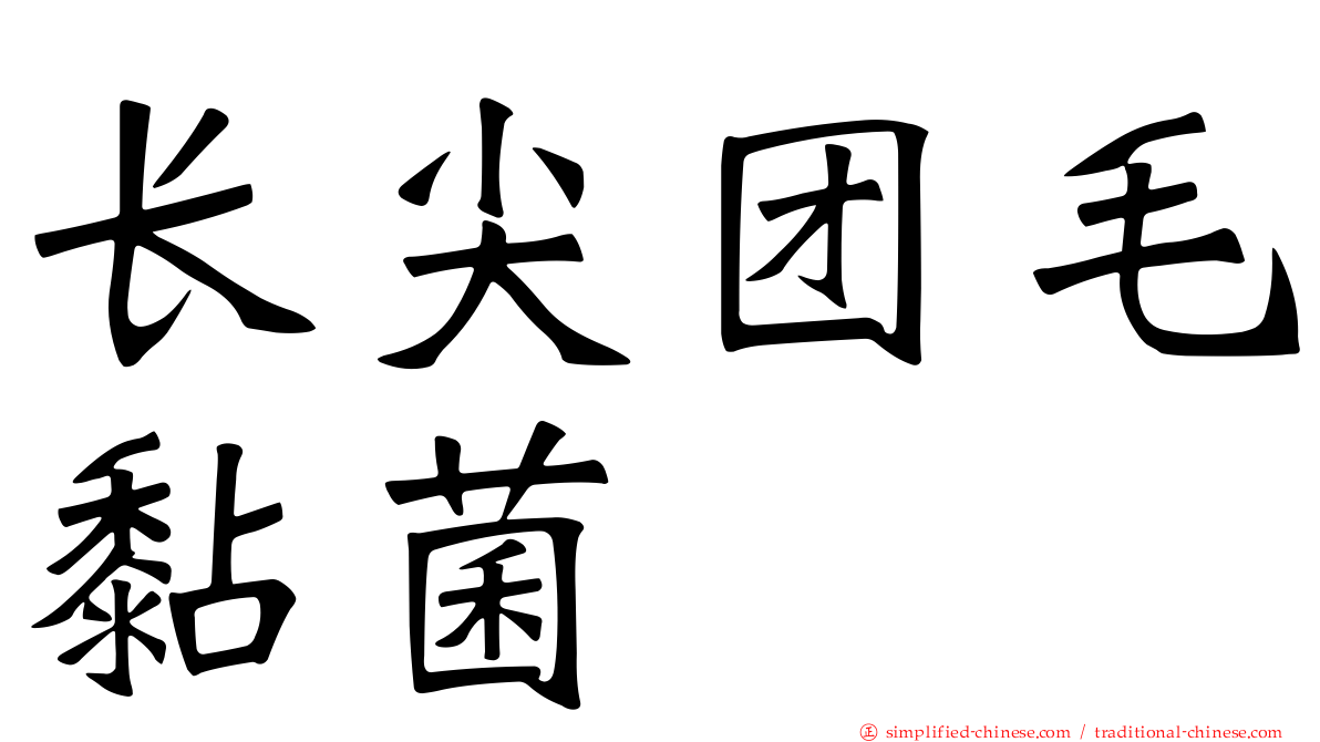 长尖团毛黏菌