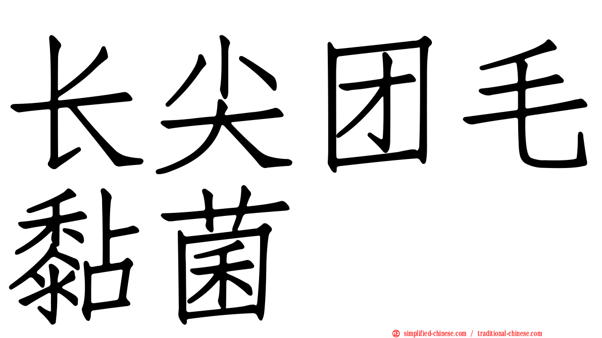 长尖团毛黏菌
