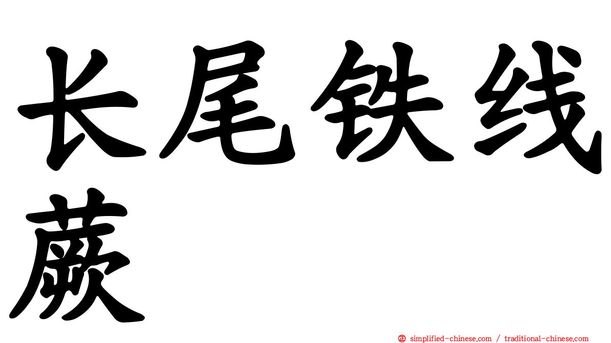 长尾铁线蕨