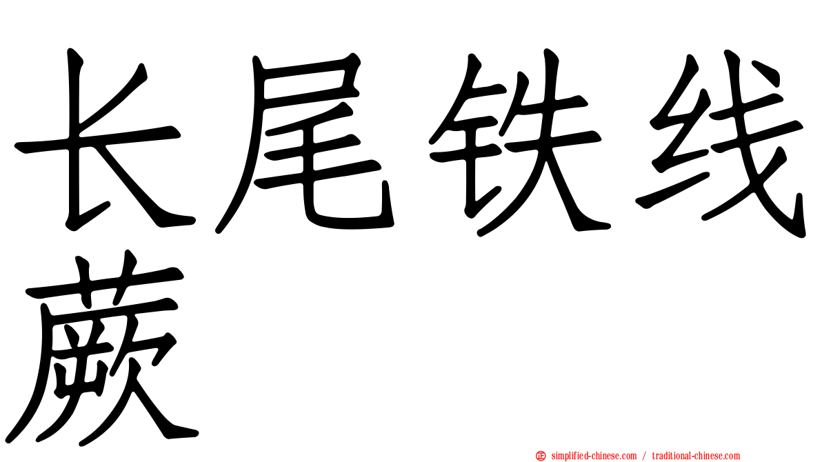 长尾铁线蕨