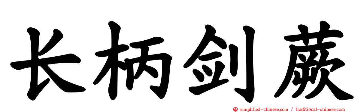 长柄剑蕨